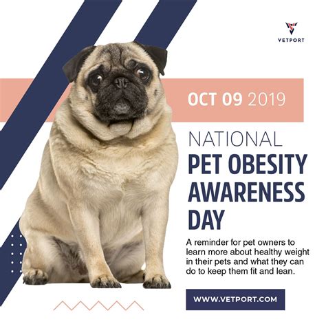 Pet Obesity Awareness Day | Obesity awareness, Awareness 