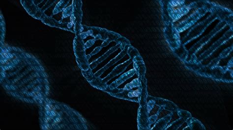 DNA Digital Data Storage Explained Datarecovery Com