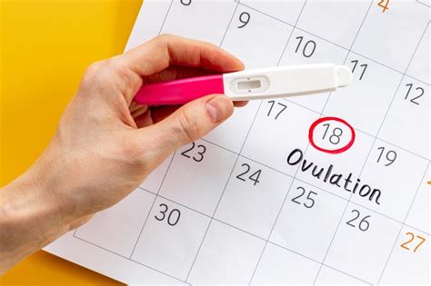 Ovulation Calculator And Calendar Discover Your Most Fertile Days