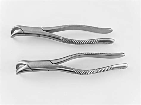 2 Dental Extracting Forceps 23s Cowhorn Pediatric Oral Surgery