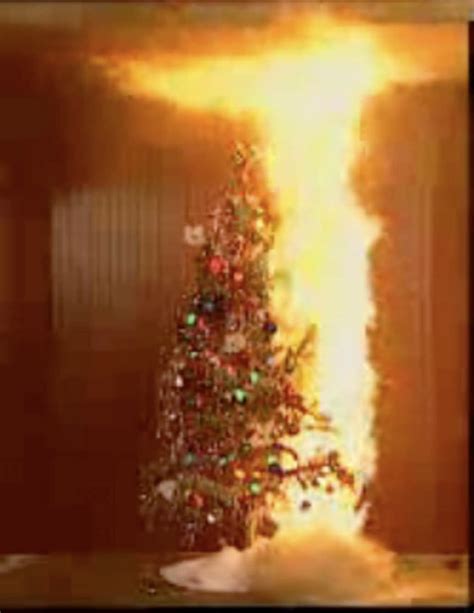 How Quickly Does A Christmas Tree Burn Montrose Ca Patch