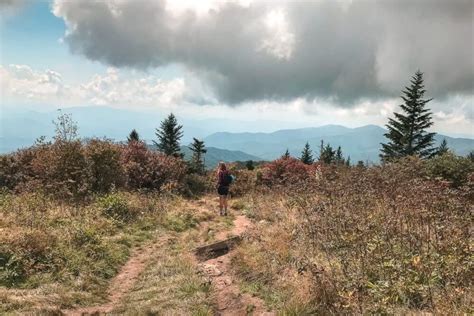 Hike The Andrews Bald Trail From Clingmans Dome
