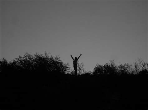 Free Images Tree Nature Grass Horizon Branch Silhouette Cloud