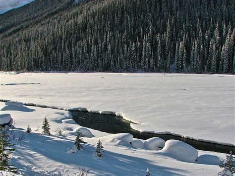 Snow Covered Stream Jasper National Park Alberta Ca