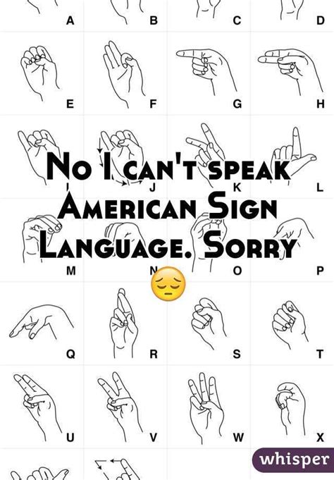 No I Cant Speak American Sign Language Sorry 😔