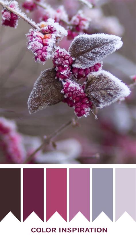 Beautiful Mauve Color Scheme Paleta De Cores Rosa Paleta De Cores