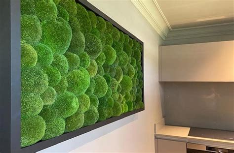 Office Plants And Living Wall Specialists In Lancashire Inleaf