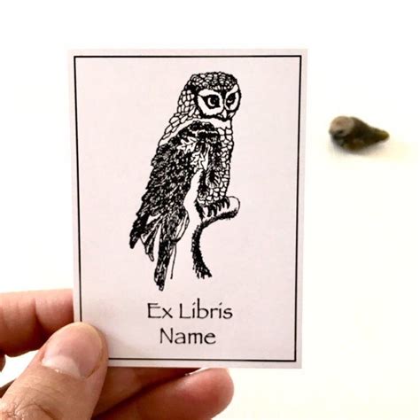 Ex Libris Owl 15 Personalized Bookplates Bookish Ts For Etsy Ex