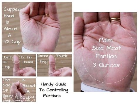 Portion Control Use This Handy Guide Portion Control Portion Handy