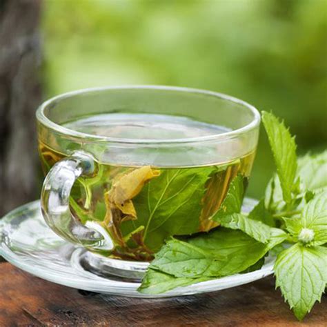 Does Peppermint Tea Have Health Benefits Raw Nutritional