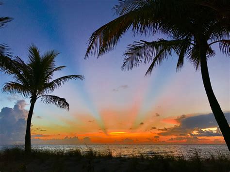 Pin by Tracy Wilson on Beach Sunrise Sunset and Palm Trees | Sunrise beach, Sunrise sunset, Sunrise