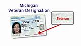 Michigan Drivers License Types Pictures