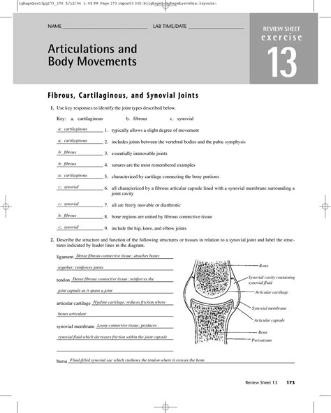Joints And Movement Worksheet Worksheets For Home Learning
