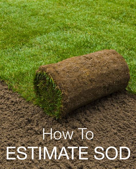 Sod Calculator Find How Much Sod You Need Inch Calculator