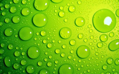 Bright Green Drops Wallpapers Hd Desktop And Mobile Backgrounds