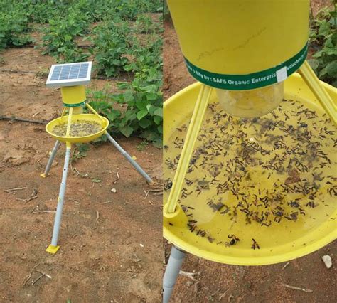 Solar Insects Light Trap At Best Price In Pondicherry Safs Organic