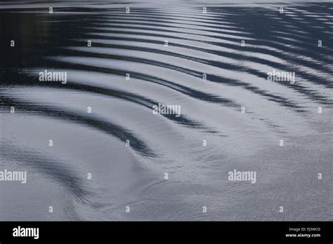Water Ripple In A Lake Stock Photo Alamy