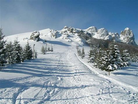 Stara Planina Srbija Zimovanje Pierre Travel Intl