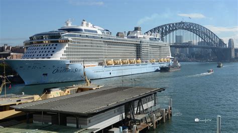 Ovation Of The Seas Docked In Sydney Harbour Australia By Lonewolf6738