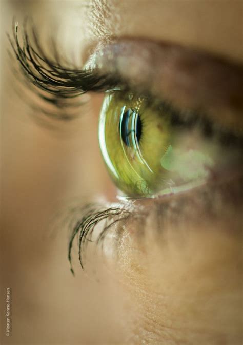 Envious Green Eyes Morethanphotography Eye Me By Kannehansen Eye