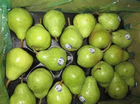 Williams Bartlett Pears From South Africa Bartlett Pears Zesty Lemons