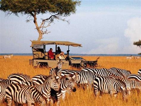 Luxury Holidays In Kenya Tours And Holidays In 2019 And 2020