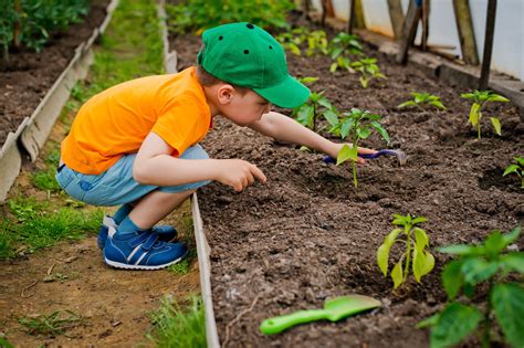Kids Veggie Garden Claim Your Sharejpeg