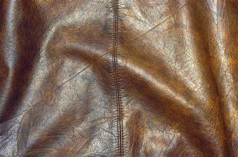 Genuine Leather 4 Free Stock Photo - Public Domain Pictures