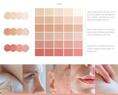 Realistic Skin Color Palettes For Procreate Etsy Australia Skin