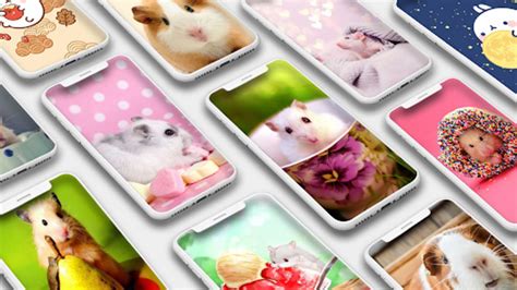 Cute Hamster Wallpapers لنظام Android تنزيل