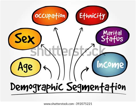 Demographic Segmentation Mind Map Flowchart Social Stock Vector