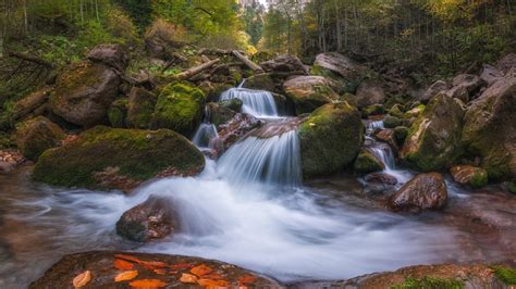 Russia Stone Stream River Between Forest Hd Nature Wallpapers Hd