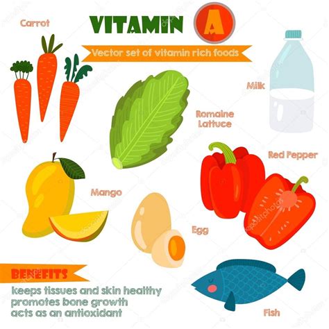 Vitaminas Y Minerales Alimentos Set Ilustrador 2 Vector Conjunto De