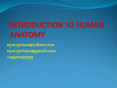 Introduction To Human Anatomyppt