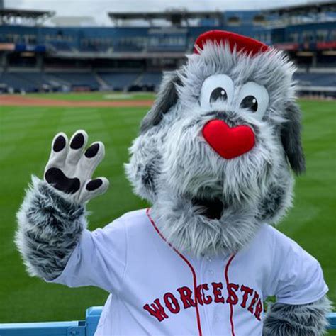 On National Dog Day Woosox Introduce Woofster As New Companion Mascot