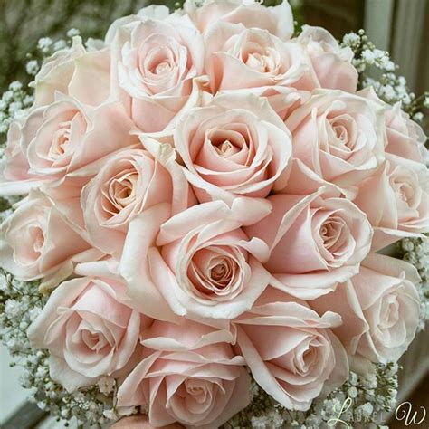 Living A Simple And Blessed Life Blush Pink Wedding Flowers Pink