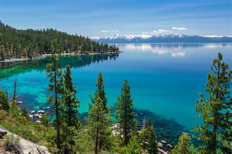 Lake Tahoe Fishing The Complete Guide