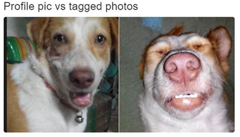 34 Profile Pic Vs Tagged Pic Memes That Will Make You