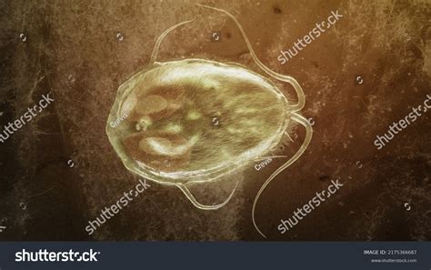 Giardia Lamblia Parasite Closup 3d Rendering Stock Illustration