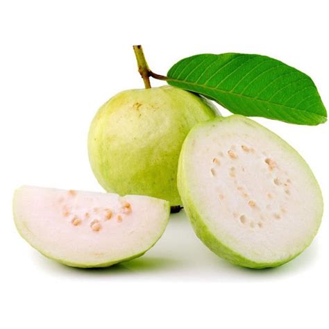Buy Guava Perakka Lucknow 49 Layer Fruit Plant Greens Of Kerala