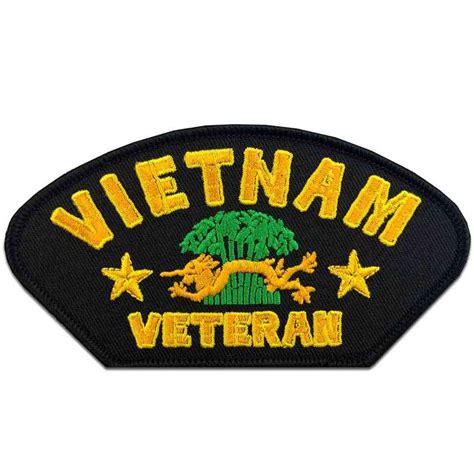 Vietnam Veteran Patch With C 141 Freedom Bird Graphic