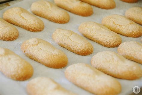 Tiramisu sponge cake powdered sugar. These gluten free Lady Fingers are perfect for Tiramisu ...