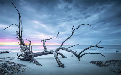 Dramatic Sky Driftwood Beach Jekyll Island Georgia Photograph By Jordan