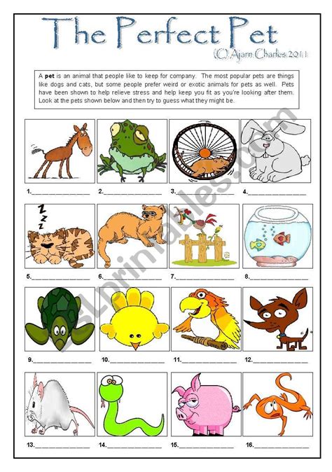 The Perfect Pet Esl Worksheet By Disappointed