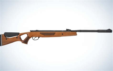 The Best Air Rifles For Hunting Competition And Backyard Shooting