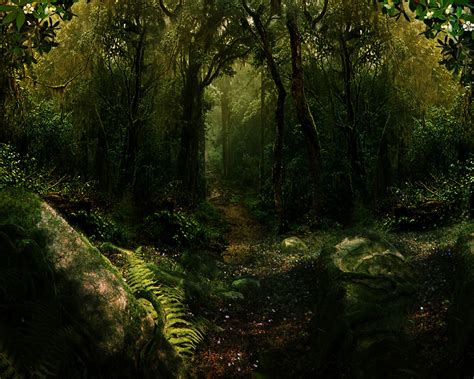 Mystical Forest Naturemystical Woodl