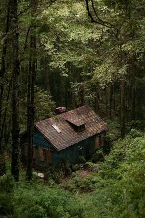 Away From It All ️ With Images House In The Woods Forest House