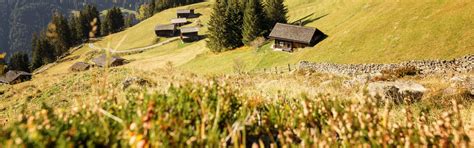 Alle informationen zum skiurlaub silvretta montafon. Kräuterwanderungen und -spaziergänge in Vorarlberg ...