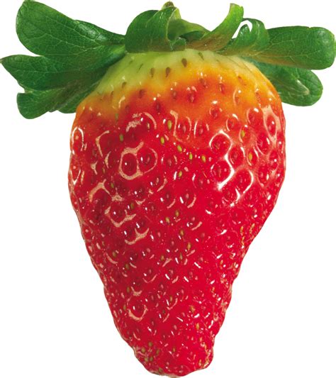 Strawberry Png Image Purepng Free Transparent Cc0 Png Image Library