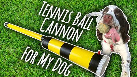 Automatic dog toy ball launcher, pet tennis ball thrower machine, tennis ball throwing apparatus, ball pitching machines, adjustable distance, ac power or battery operated (6 pcs x 2 balls idogmate interactive ball launchers for dogs automatic tennis ball thrower for dogs. Diy Dog Toy Launcher | Wow Blog
